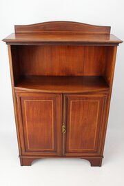 Antique Edwardian Mahogany Bookcase /Hall Cupboard