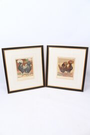 Pair Framed Antique Chicken Lithographs Prints