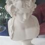 Classical Bust