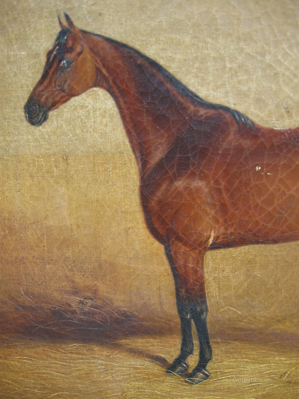 Antiques Atlas E.M. Fox (fl 1841) A Bay In A Stable Oil