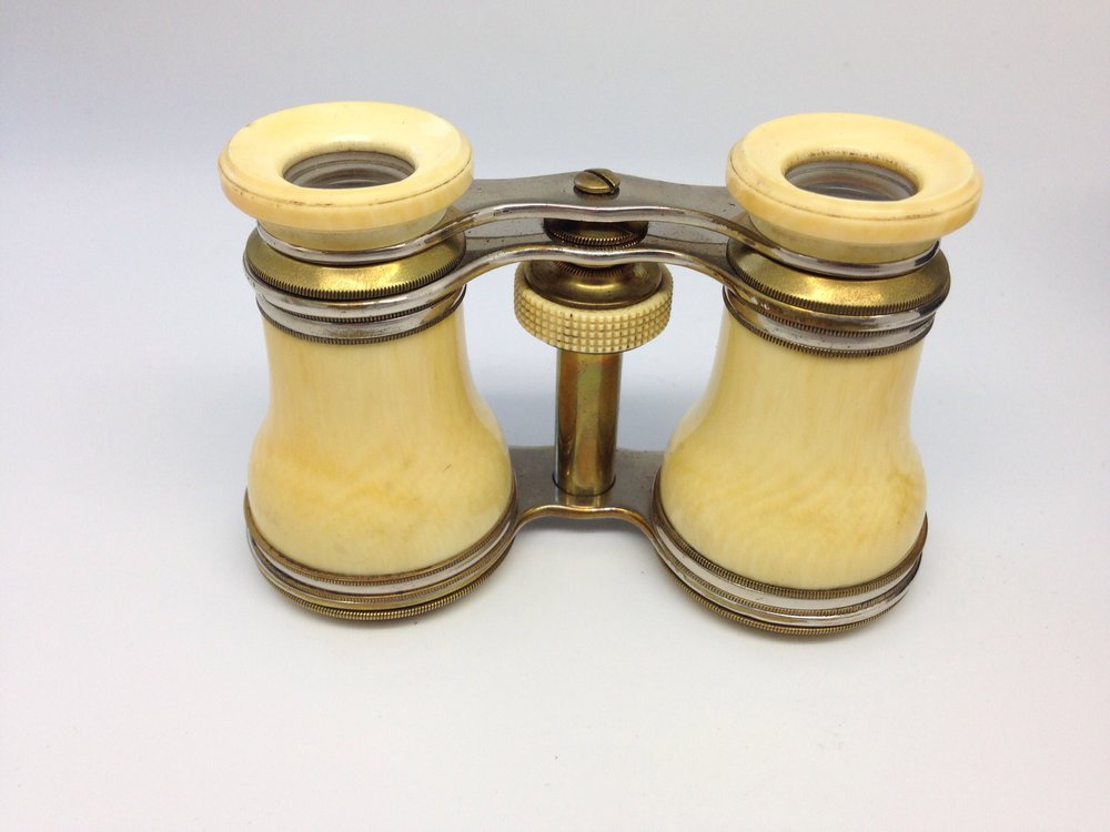 Antiques Atlas Fine Pair 19th Century French Ivory Opera Glasses