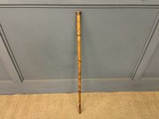 19th Century Walking Cane