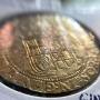 Gold  coins
