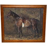 Hunter Mare Kitty Oil Painting By Murray Urquhart