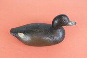 Antique Folk Art Painted Widgeon Duck Decoy