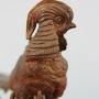 Bronze  pheasant