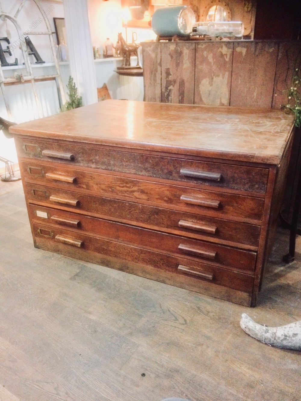 Antiques Atlas Plan Chest