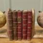 A Set of Bookends for the Geography Student 