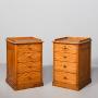 Pair Of Neat-sized Satin Birch Chest Of Drawers