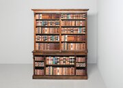 William IV Rosewood Open Bookcase