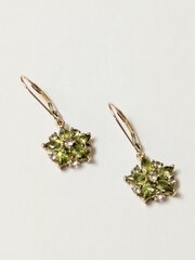 9ct Gold Peridot & Green Amethyst Drop Earrings 