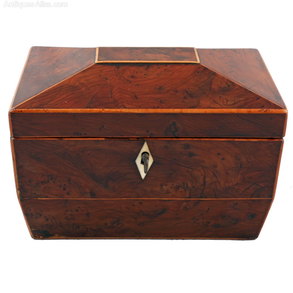 Antiques Atlas Regency Yew Wood Tea Caddy