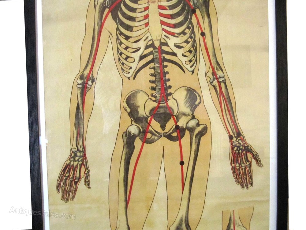 Antiques Atlas - St John's Ambulance Training Poster C. 1948