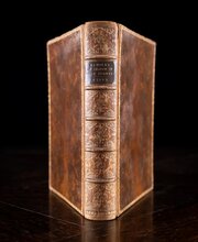 1879 Rambles In Search Of Wild Flowers By M. Plues