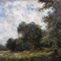 Frank Spenlove-Spenlove (1864-1933) - Meadow