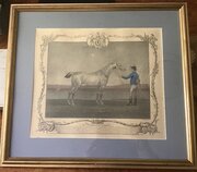 C1755 Mezzotint Engraving Lamprey Horse 