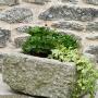 Antique Granite Stone Trough Planter
