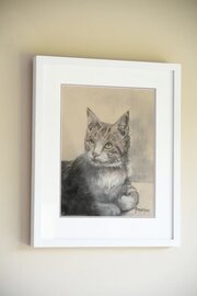 P. Martins - Pastel Study Of A Cat