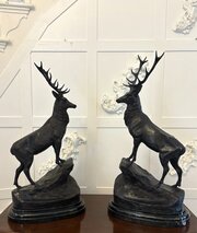 Pair Of Exceptional Stags By Jules Moigniez 