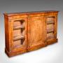 Antique Display Library Bookcase 
