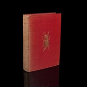 Antique Reference Book, The Outdoor World, English