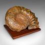 Large Ammonite Specimen, Natural History, Jurassic