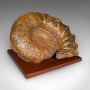 Large Ammonite Specimen, Natural History, Jurassic
