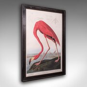 Large Vintage Flamingo Picture, English, Framed