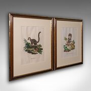 Pair Of Antique Animal Portraits, French, Framed