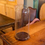 Tall Antique Taxidermy Dome, English Display Glass