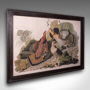 Vintage Ruffed Grouse Picture, English, Framed