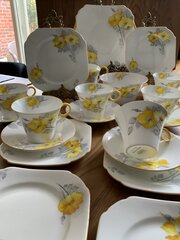 Stunning Shelley Yellow Dog Roses 21 Piece Tea Set