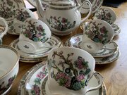 Antique Duchess Indian Tree Tea Set With Teapot