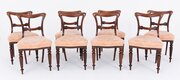 Good Set Of 8 William IV Mahogany Dining Chairs