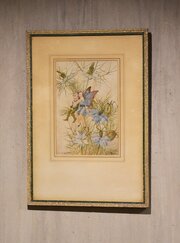 Flower Fairy Watercolour ‘Love-in-the-mist’ 