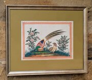 Antique Chinese Watercolour Painting Asiatic Pheas