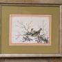 Antique Chinese Watercolour Painting Birds 