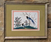 Antique Chinese Watercolour Painting Birds Among B