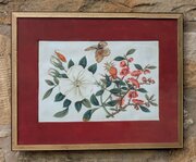 Antique Chinese Watercolour Painting Butterflies A