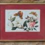 Antique Chinese Watercolour Painting Butterflies a