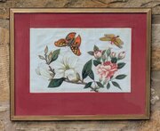 Antique Chinese Watercolour Painting Butterflies A