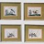 Antique Chinese Watercolour Paintings Birds Set of 4
