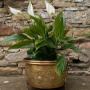 Art Nouveau Brass and Copper Planter Jardiniere
