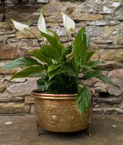 Art Nouveau Brass And Copper Planter Jardiniere