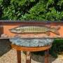 Hand Painted Pike in Glazed Display Case