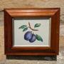 Pretty Botanical Watercolour of Plums Rosewood Frame