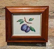 Pretty Botanical Watercolour Of Plums Rosewood Frame