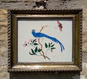 Pretty Regency Watercolour Exotic Blue Bird
