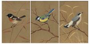 Set Of 3 Watercolours Ralston Gudgeon Garden Birds