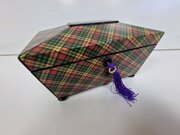 Tartan Ware Tea Caddy Scottish Buchanan